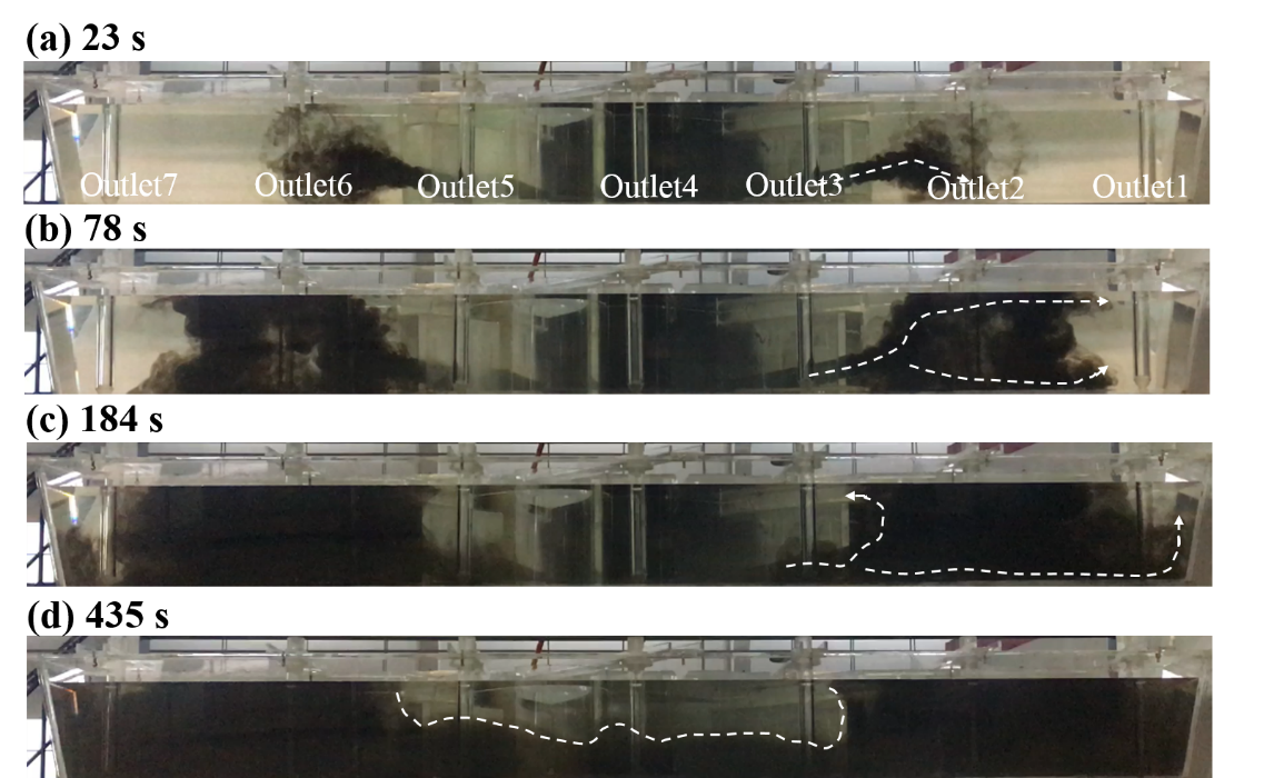 Traiettoria di dispersione dell'inchiostro nel caso P0