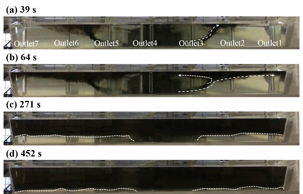 Traiettoria di dispersione dell'inchiostro nel caso P3