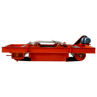 Separatore di ferro elettromagnetico a scarica automatica Serie RCDD (MC12).